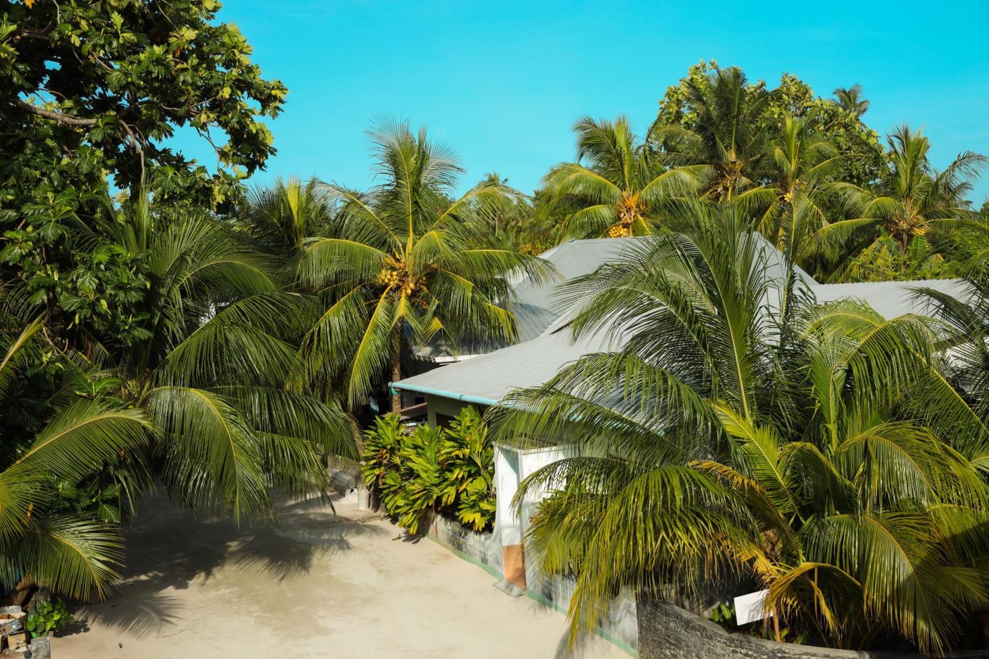 Shifa Lodge Maldives Фериду Экстерьер фото